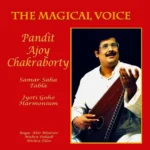 The Magical Voice album cover